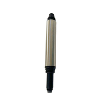 Nitrate Ion (NO3-) Sensor
